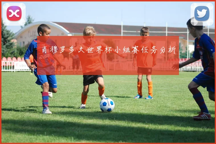 肖穆罗多夫世界杯小组赛任务分析