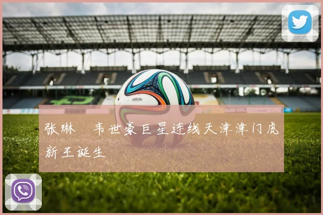 张琳芃韦世豪巨星连线天津津门虎新王诞生