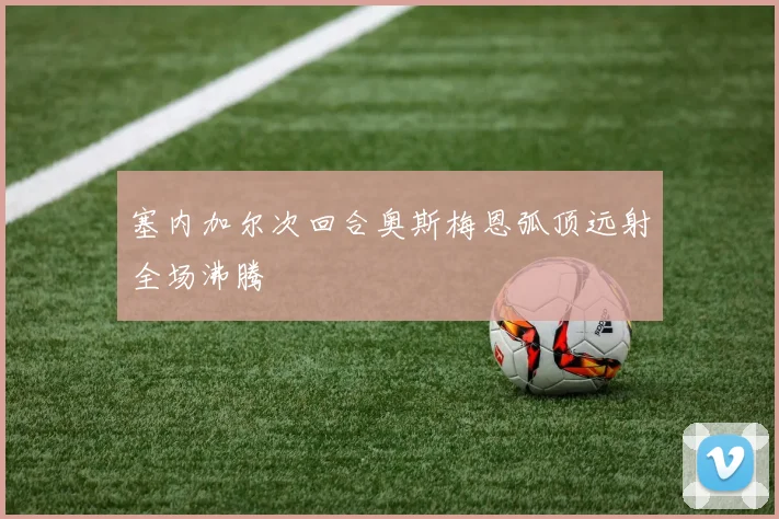 塞内加尔次回合奥斯梅恩弧顶远射全场沸腾