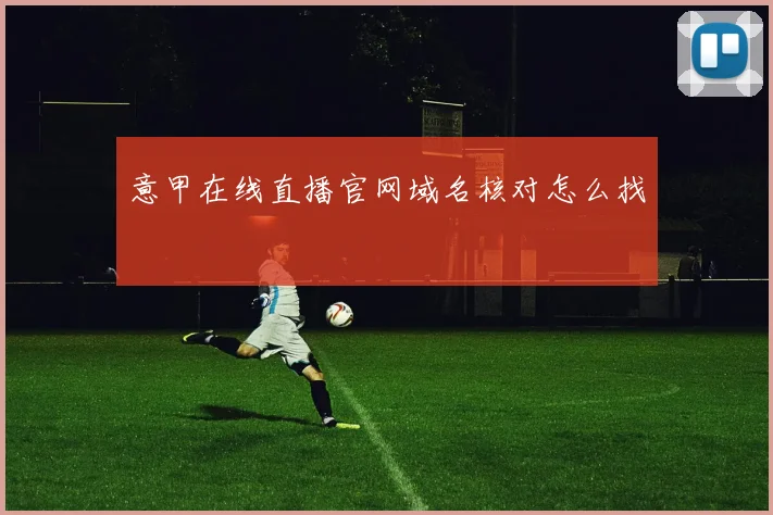 意甲在线直播官网域名核对怎么找