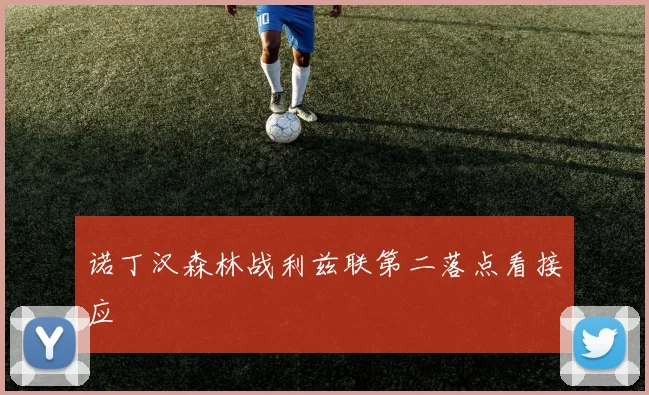 诺丁汉森林战利兹联第二落点看接应