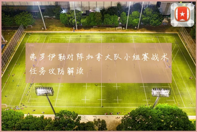 弗罗伊勒对阵加拿大队小组赛战术任务攻防解读